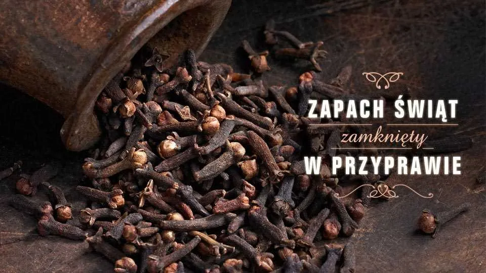 Na zimowe chłody – goździki!